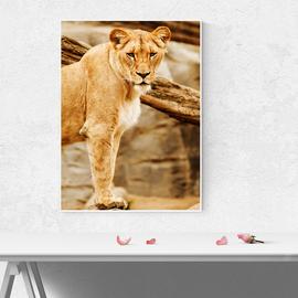 Muurdecoratie fotopanelen fotoschilderij bureau tijger